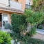 Apartments Škoda I, Škoda Ii