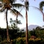 Villa Lihat Sawah