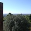 Eurialo Green Suites