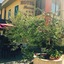 Hotel Facioni