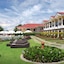 The Peacock Garden