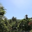 Badladz Beach And Dive Resort