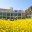 Ava Hotel Jeju Hamdeok