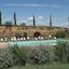 Locanda Rosati