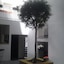 Art Hostel Taurus B&B