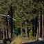 Heavenly Valley Lodge