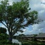 Mekong Riverside Boutique Resort & Spa