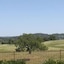 Shenandoah Inn