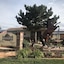 Broken Spur Inn & Steakhouse