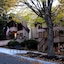 Loreley Resort
