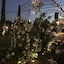 Chardonnay Lodge
