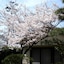 Hotel Hagoromo