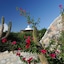 Ventana Bay Resort