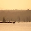 Evolve Back, Kabini