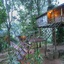 Nature Zone Jungle Resort