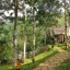 Niraamaya Cardamom Club