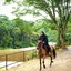Blanket Riverside Resort & Spa | Luxury Resorts In Munnar Kerala