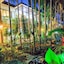 Oasis Hakuna Matata Hotel