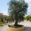 Racar Hotel & Resort
