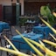 Riad Selma