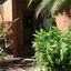 Los Tules Villas Del Sol