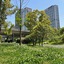 Sheraton Grand Wuhan Hankou Hotel