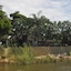Hakusembe River Lodge