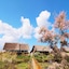 Green Village Resort