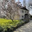 Hill Farm