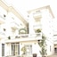 Hotel Vienna