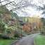 Mast Gully Gardens Bed & Breakfast