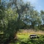 Deshons Retreat