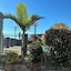 Shady Rest Motel