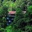 Rainforest Boutique Resort