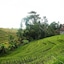 Yeh Panes Bali