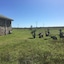 Mentors Country Estate