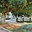 Anew Resort White River Mbombela