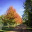 Bright Mystic Valley