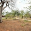 Africa Safari Selous