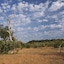The Retreat Selous