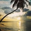 Evexia Beach Collection - A Premium Wellness Retreat