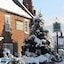 The Royal Oak