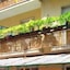 Residence Glicini