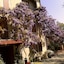 Country Hotel Le Querce