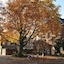 Hotel De Plataan Delft Centrum