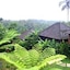 Bali Mountain Retreat