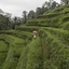 The Westin Resort & Spa Ubud, Bali