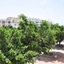 Résidence Amwaj