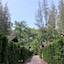 The Delight Pine Tree Village