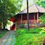 Misty Woods Resort